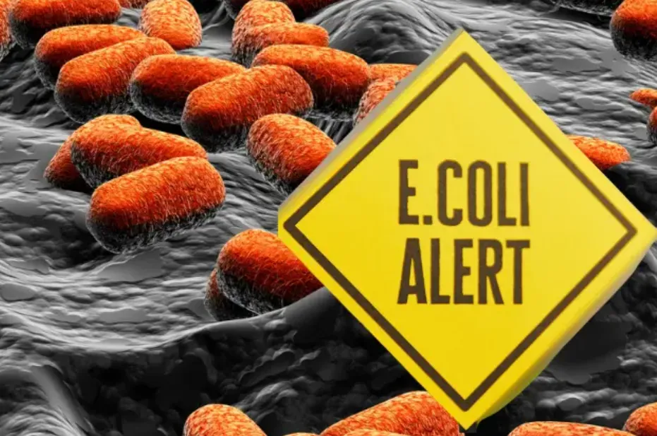 6 Food Safety Failures That Can Lead to E. coli Contamination 